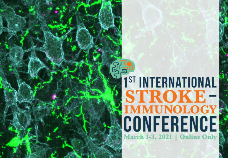 1st International Stroke Immunology Conference