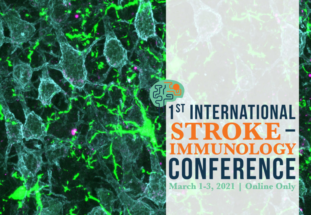 1st International Stroke Immunology Conference