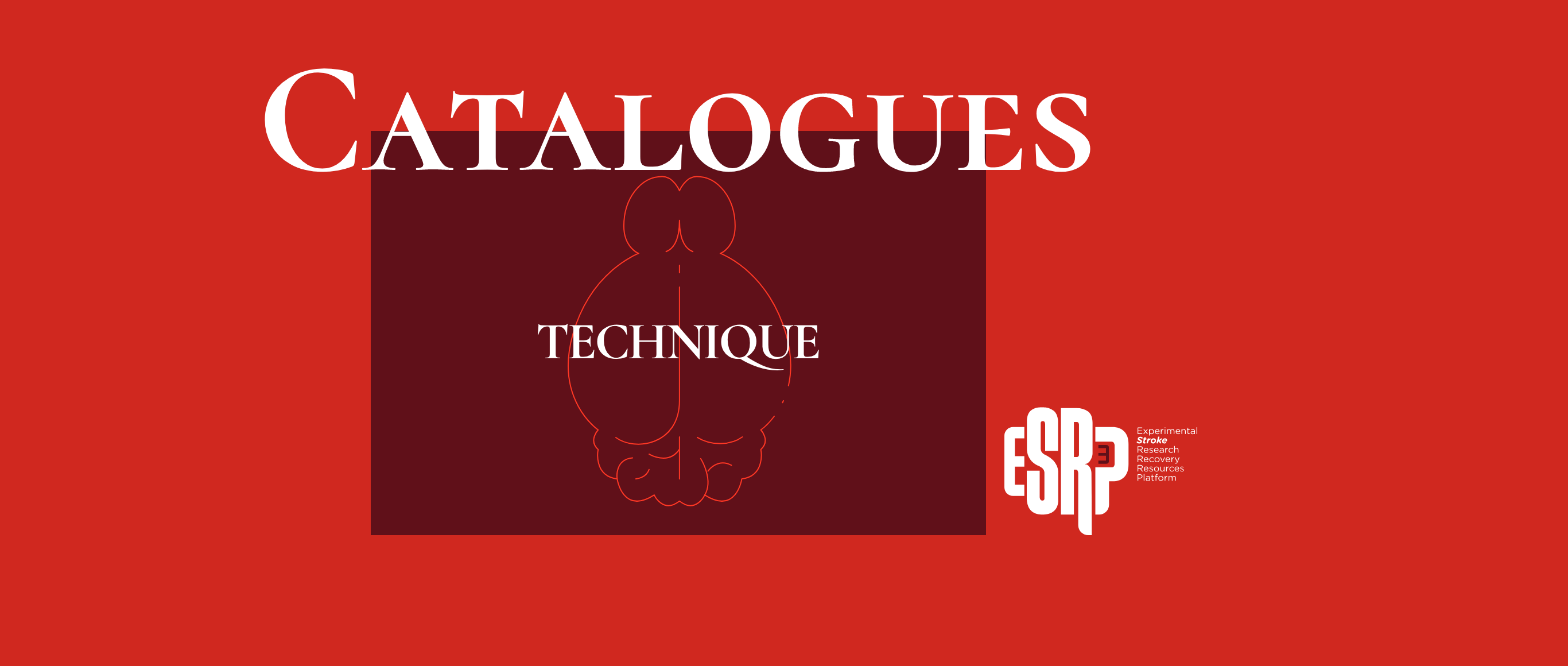 catalogues-technique